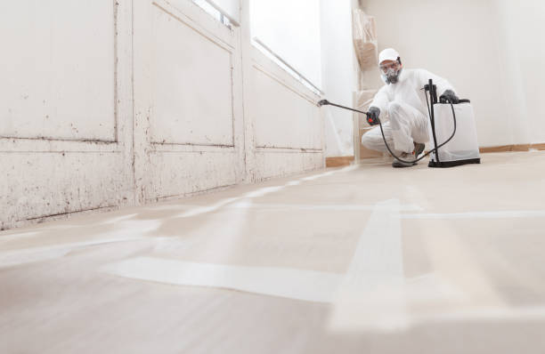 24/7 Emergency Mold Inspection experts in Fuquay-Varina, NC