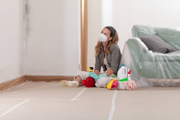 Reliable Basement Mold Removal contractor in Fuquay-Varina, NC by Cheap Mold Removal