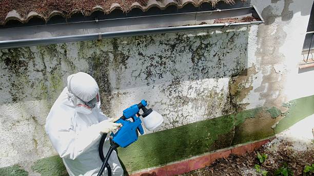 Trusted Mold Inspection service in Fuquay-Varina, NC - Cheap Mold Removal